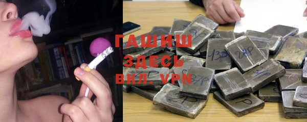 сатива Белоозёрский