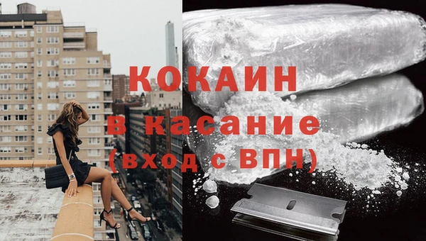 сатива Белоозёрский