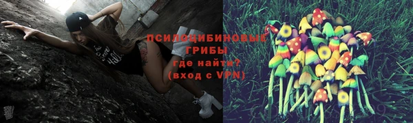 MDMA Premium VHQ Белокуриха