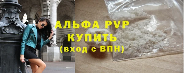 прущие грибы Кинешма