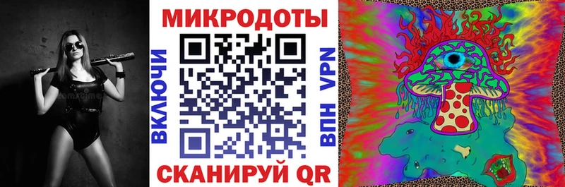 как найти Верхотурье Галлюциногенные грибы Psilocybe